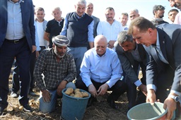 Bayraktar, Niğde'nin Höyük Mahallesi'nde patates ve kuru soğan hasadına katıldı